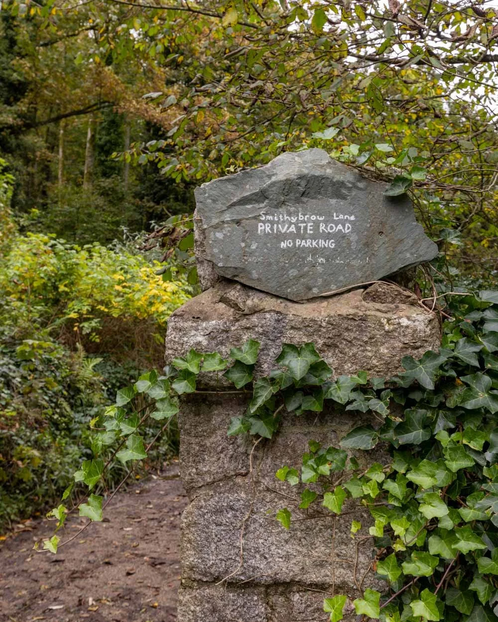 ❤️よっぴ様確認用❤️☘️aiiKEN73*Garden☘️AG20260606 The Giggle Alley Japanese Garden: Eskdale's hidden autumn